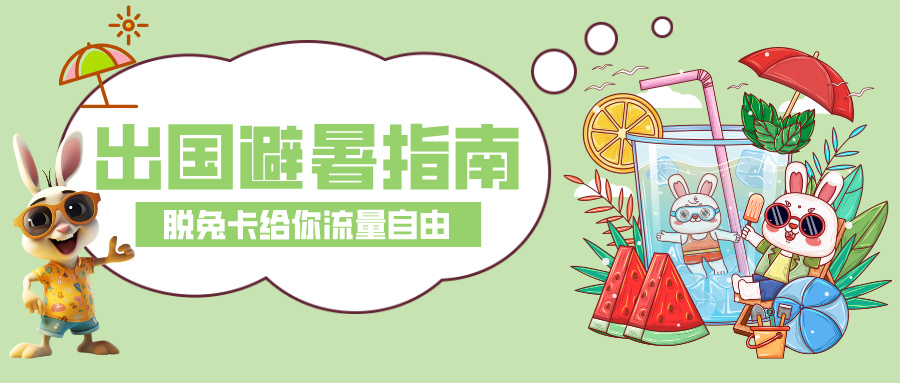 For summer vacation abroad, choose Talk2all domestic internet SIM card as your global data plan